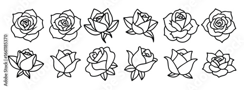 Classic rose line art design artistic illustration