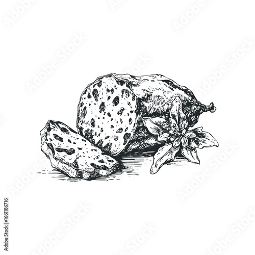 Hand-drawn sketch of sliced salami and basil garnish
