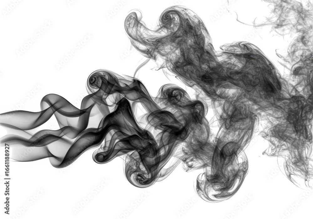 Fototapeta premium Black smoke swirling and twisting against a transparent background, creating an abstract and dynamic visual