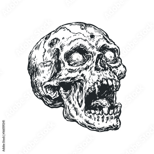 Detailed sketch of a decaying human skull with gaping mouth and empty eye sockets