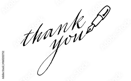 Thank You - 手書き風の筆記体で書いたThank You（ありがとう）の文字（カリグラフィー）
