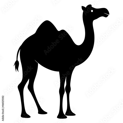 Black silhouette of a camel isolated on white background camel silhouette