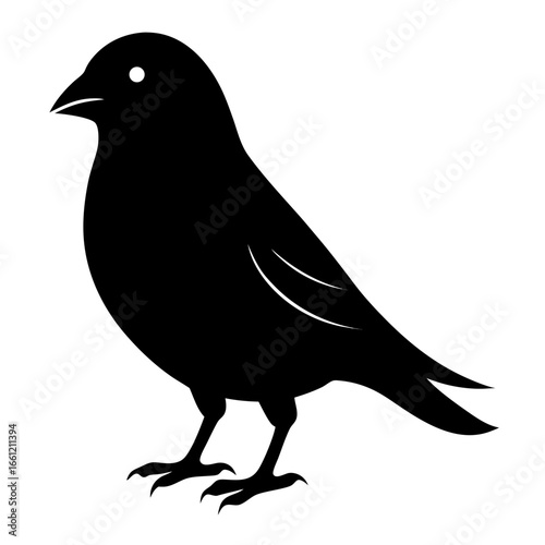 Black silhouette of a canary bird isolated on white background