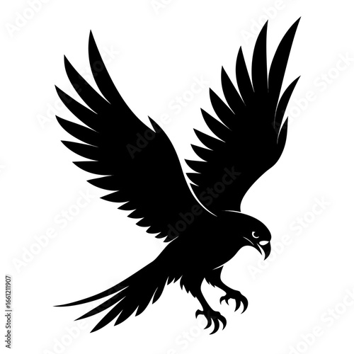 Black silhouette of a flying hawk isolated on white background silhouette