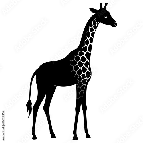 Black silhouette of a giraffe standing tall isolated on white background