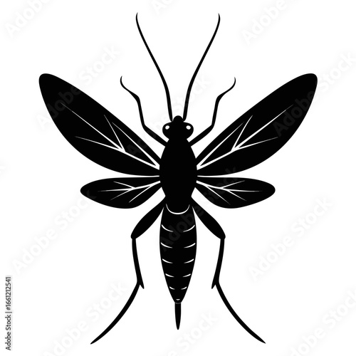 Black silhouette of a mayfly insect isolated on white background silhouette