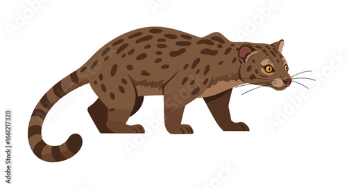Vector illustration of a brown spotted civet, a wild nocturnal mammal with a long striped tail.