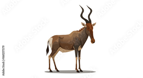 A detailed vector illustration of a red hartebeest, a species of African antelope, standing in profile on a white background.