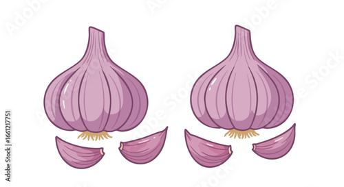 Vector illustration of two purple garlic bulbs and four individual cloves isolated on a white background.