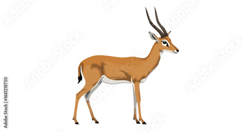 A detailed illustration of a graceful gazelle with long, curved horns, shown in profile against a clean white background.