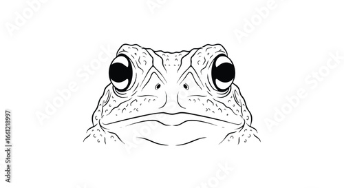A minimalist black and white line art illustration of a toad's face staring forward on a plain background.