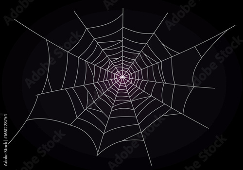 White Spiderweb Illustration on Dark Gradient Background.