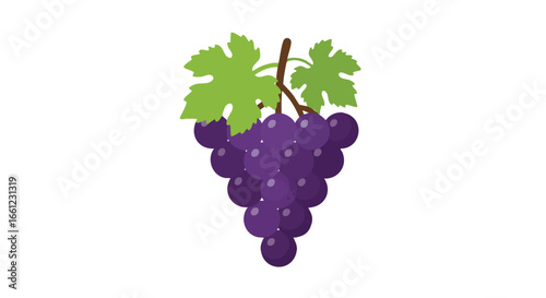 A simple illustration of a bunch of ripe purple grapes with green leaves on a stem, isolated on a white background.