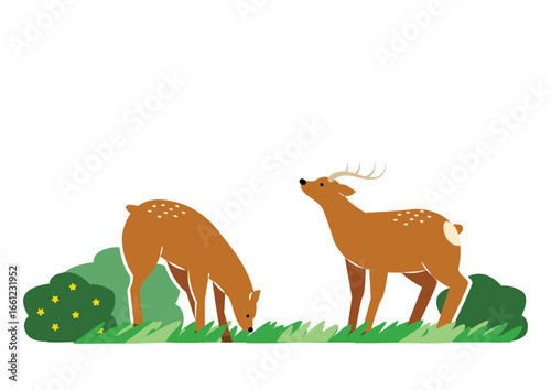 草を食べる二頭の蝦夷鹿のイラスト