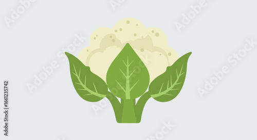 A simple, flat vector illustration of a whole head of cauliflower with large green leaves on a gray background.