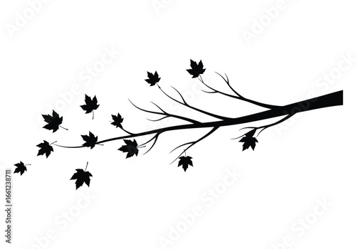 Silhouette of autumn tree branch with falling maple leaves isolated on white background, vector illustration for fall season decoration