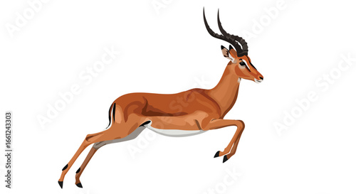 Side profile illustration of a leaping male impala antelope isolated on a white background.