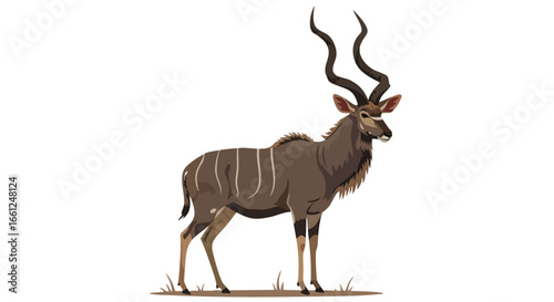 A detailed illustration of a male Greater Kudu antelope with long spiral horns standing against a white background.