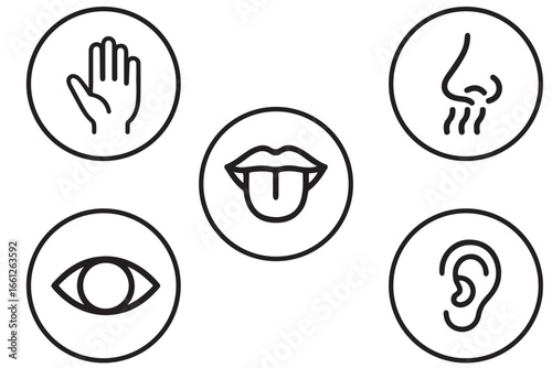 Five human senses editable stroke outline icons set isolated on white background flat vector illustration.
