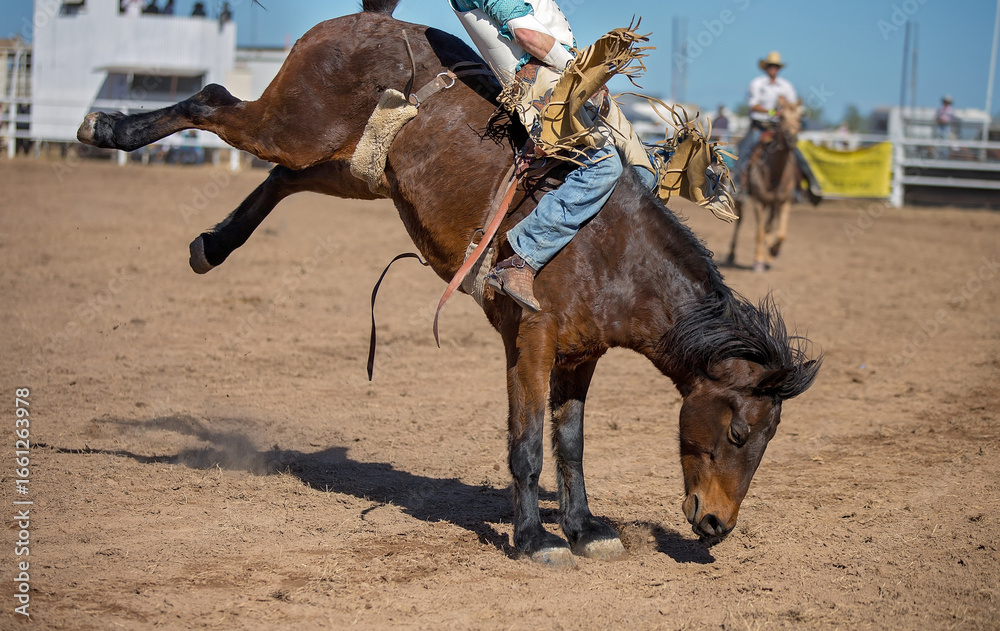 Naklejka premium Bareback Bucking Bronc Riding At Country Rodeo