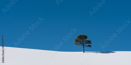 Minimalist winter landscape featuring a single bare tree with thin black branches in a vast white snowfield, 80% pale blue sky, off-center composition, high contrast, clean scene