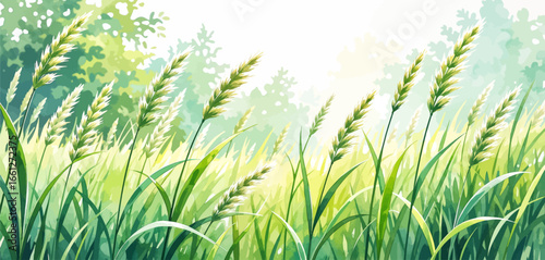 Lush Meadow in Morning Light with Tall Grasses