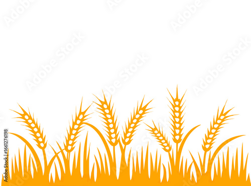 Agriculture wheat vector Illustration design template - Vector