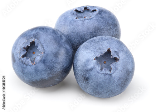 blueberries isolated on white background. clipping path