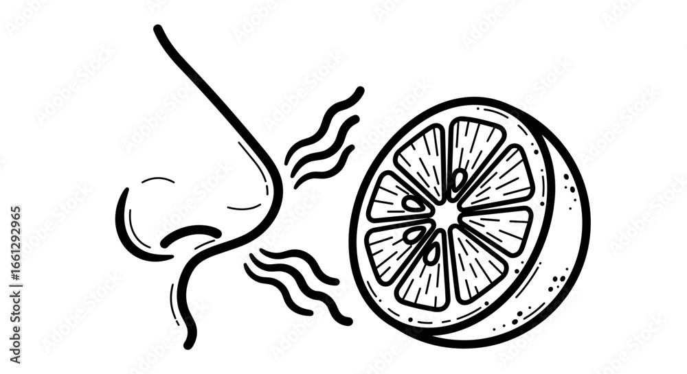 Fototapeta premium Nose smelling lemon slice, symbolizing freshness and sensory experience