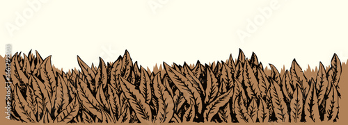 Vector grass background with space for text.