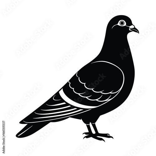 Pigeon Looking Overly Serious Cartoon Vector
