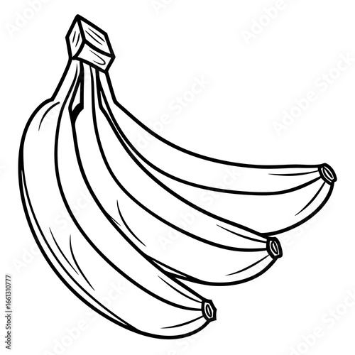 Vector illustration of a bunch of bananas with detailed black outlines and clean white fill, showcasing fresh tropical fruit