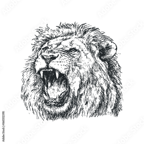 Detailed sketch of a roaring lion with intense eyes and flowing mane