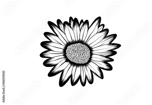 Flower Blossom with Textured Center and Petals, Elegant Floral Vector Drawing for Spring Designs, Wedding Decor, and Natural Beauty Themes