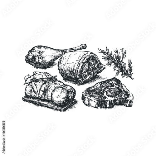 Hand drawn sketch of raw meat cuts and rosemary herb