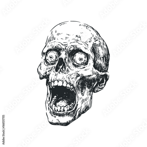 Hand Drawn Graphic Depicting a Distressed Human Skull with Open Mouth