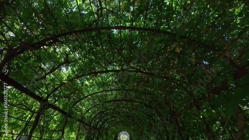 Shonbrunn Vienna green gardens walk slow motion video