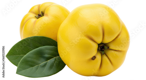Fototapeta Naklejka Na Ścianę i Meble -  Isolated Quince Fruits