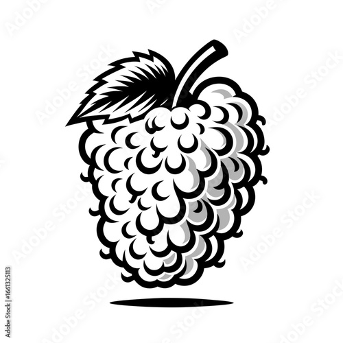 Black and White Mulberry Fruit Illustration with Leaf.
