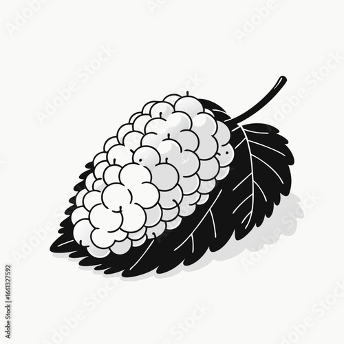 Stylized Black and White Mulberry Fruit with Leaf Illustration.