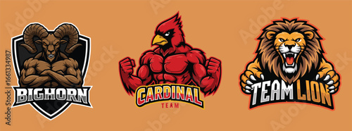 Bighorn Ram, Cardinal Bird, and Lion Mascot Logos on Orange Background team