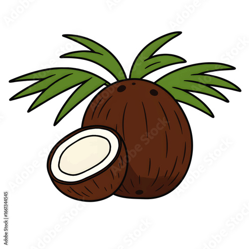 Vibrant cartoon illustration of tropical coconuts, showcasing a whole coconut and a perfectly halved one with white flesh, accompanied by green palm leaves._vector