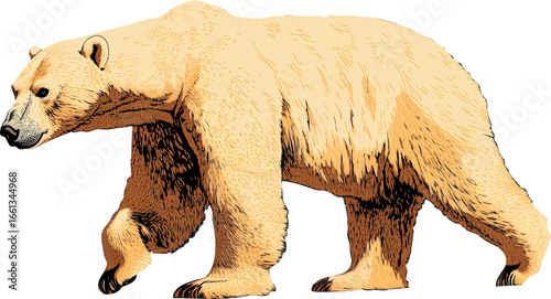 Digitally rendered polar bear walking on neutral background