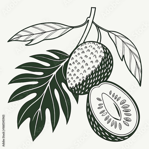 Detailed breadfruit illustration featuring ripe fruit, leaves, and a cross-section, showcasing tropical botanical art with line work and natural elements