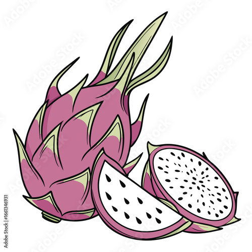 Vibrant dragon fruit illustration showcasing whole and sliced pitahaya with unique texture and color