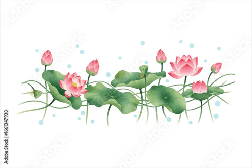 Watercolor Pink Lotus Flower Illustration