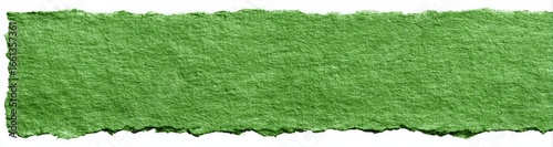 Wallpaper Mural A textured, lime green, torn piece of paper Torontodigital.ca