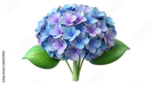 flower, isolated, nature, flowers, purple, spring, plant, blossom, blue, white, bloom, bouquet, violet, petal, floral, flora, pink, garden, leaf, hyacinth, orchid, closeup, beauty, lilac, bud