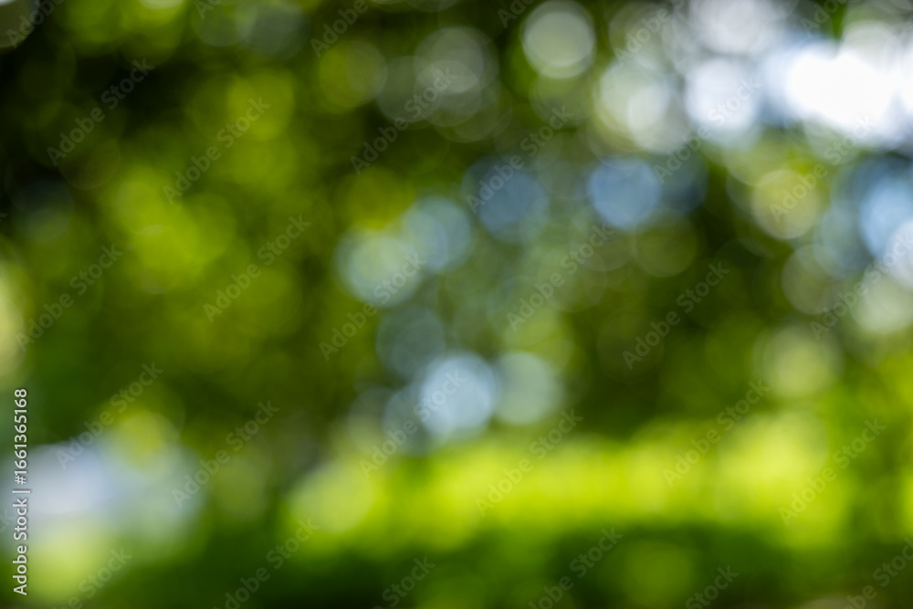 Fototapeta premium Soft Focus Green Nature Background with Bright Bokeh Lights, Capturing a Serene and Dreamy Woodland Scene.