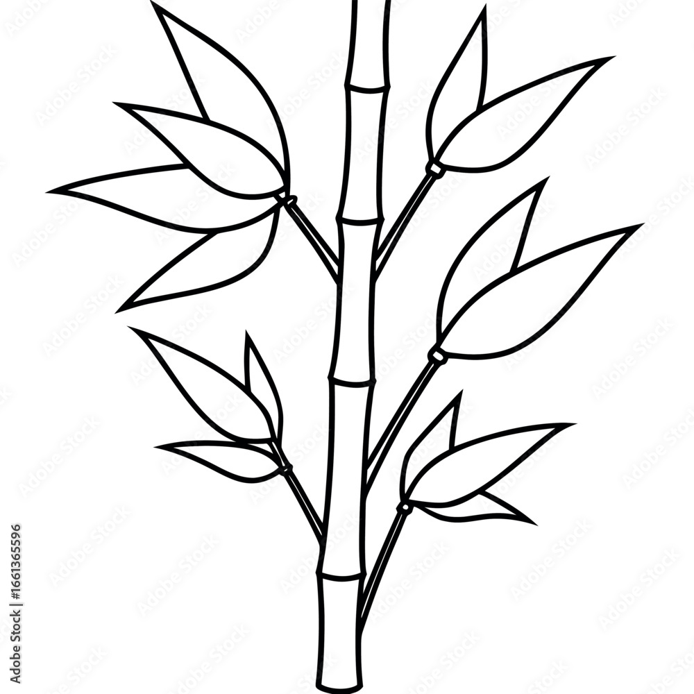 Obraz premium Bamboo Botanical Line Art Coloring Page